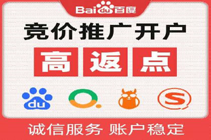 百度竞价与搜索引擎优化（SEO）结合的经典案例
